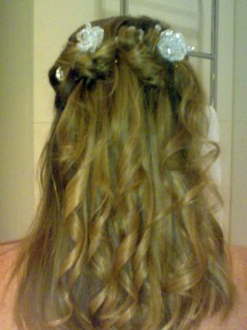 Wedding hair for bride with hair down Crystal wedding hair accessories 